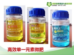 喷洒时间与顺序