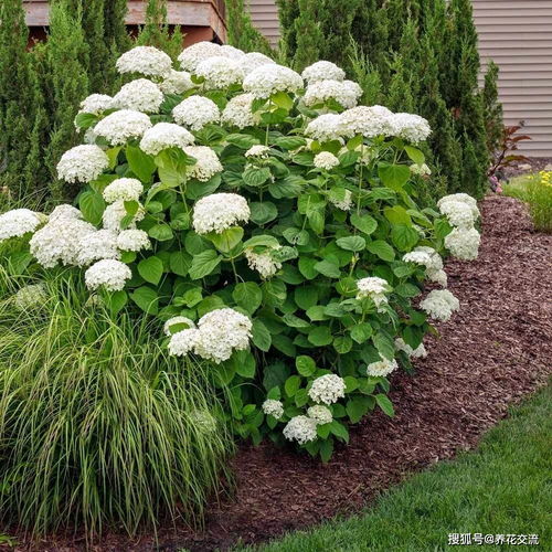 去年的惨痛教训