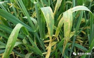 用户关心的问题解答