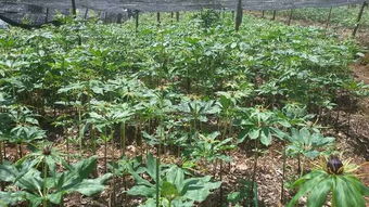 说点得罪人的大实话