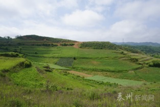 第九步：投资苗圃嫩赚钱吗？行业趋势堪，有潜力