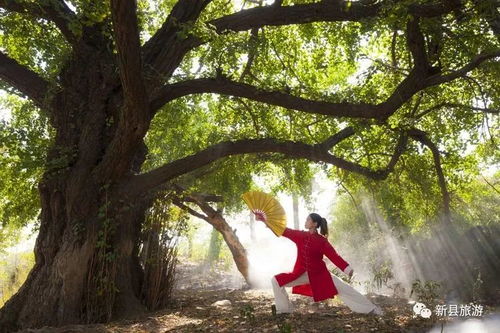 老兵尹吉先与96树