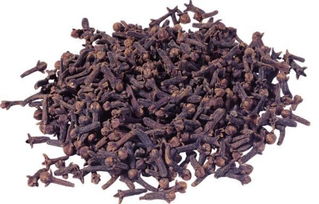 公丁香与母丁香：哪个更优？价格对比揭秘！