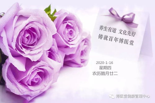 玫瑰切花，为何低头拆分为“双”