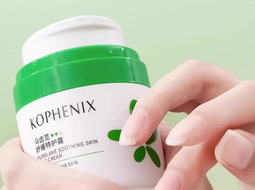 kankan大家怎么说