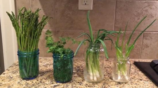 如何高效储存荸荠？花卉保鲜秘籍大公开！