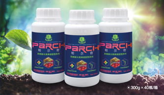 低温条件下芸苔素的效果