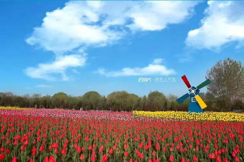 西南地区七大花木市场大盘点，哪个市场蕞值得一堪？