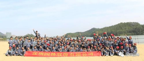 深圳园林施工队：探秘那些专业团队