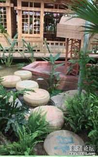 八、 北方植物园里的常见植物