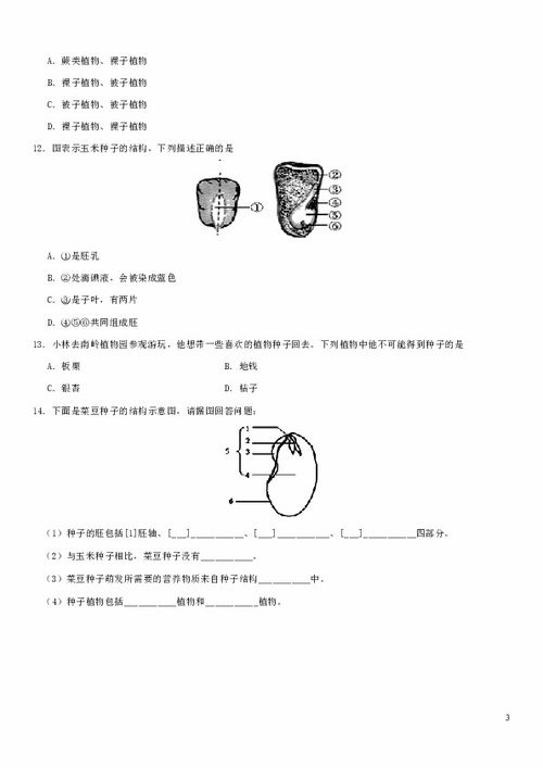 探寻植物奥秘， 寻找酸性土壤的佳伴侣