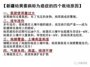 岸边植物总被冲走，怎么办？