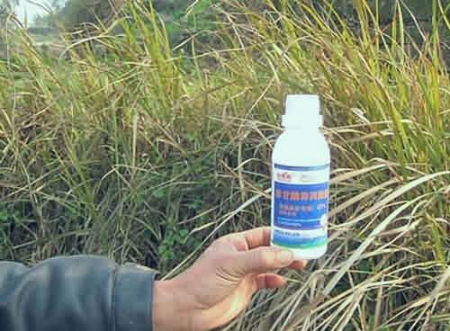 中毒了得赶紧排毒啊！