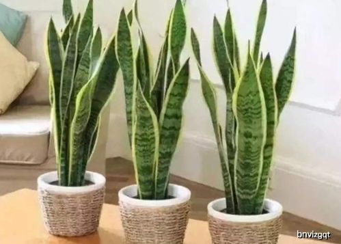 直射强光，小心啦