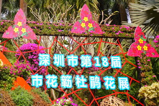 勒杜鹃花展：深圳市的骄傲
