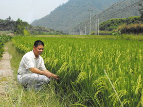 特定时期用农药：精准打击