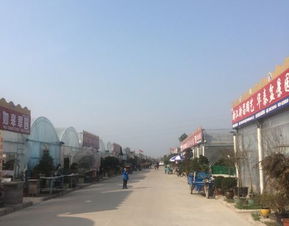 怎么去，这是个问题