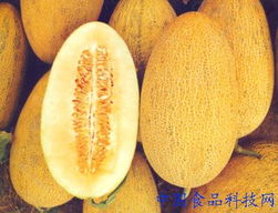 哈密瓜减肥秘籍：如何用这款水果助你轻松瘦身？