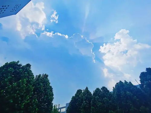 夏天给饲料加油，是加满好还是适量好？哪种方法更合适？