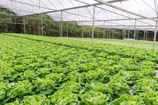 秋末到春初， 它也在忙碌