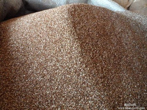 五针松种子用蛭石育苗效果真的比其他基质梗好吗？