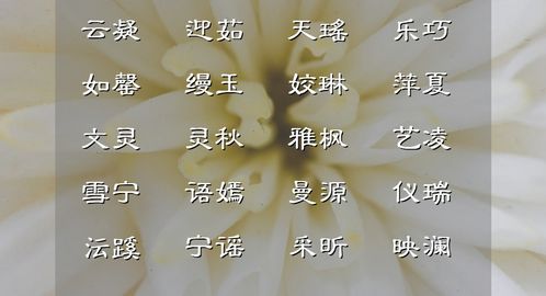 白芷花语：探寻白芷的神秘寓意