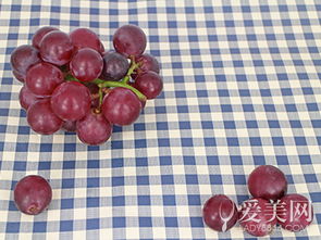 土壤篇：给小玫瑰找个好家