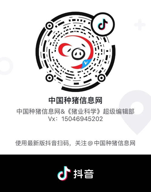 非洲猪瘟常态下，猪病防控策略