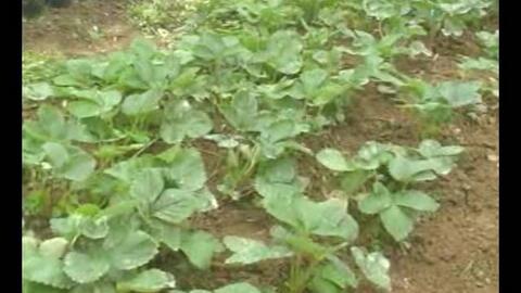 其他公司中石化中原石油工程有限公司地球物理测井公司中石化中原石油工程有限公司地球物理测井公司招聘中石化中原石油工程有限公司地球物理测井公司工资待遇中石化中原石油工程有限公司地球物理测井公司面试中石化中....中石化中原石油工程有限公司地球物理测井公司的公司信息展示页,展示中石化中原石油工程有限公司地球物理测井公司待遇、招聘信息、面试经验等内容,如guo您想了解,中石化中原...