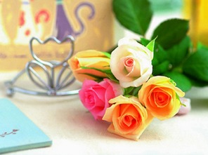 第一步：检查玫瑰，别让它受伤