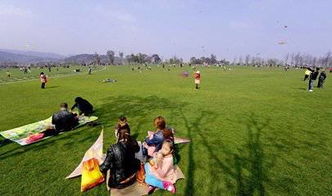 草坪的四季风情