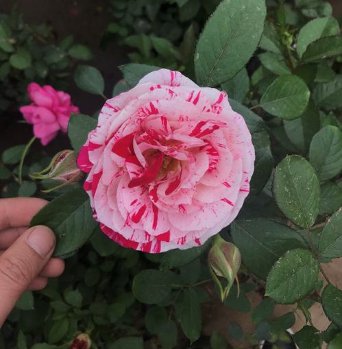 选对地方，别买错了