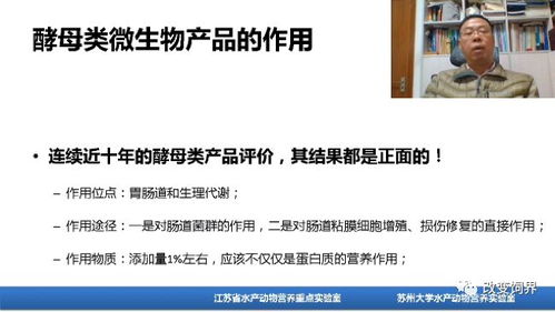 大连饲料审批卡壳，老王如何破局三招解养殖困境？