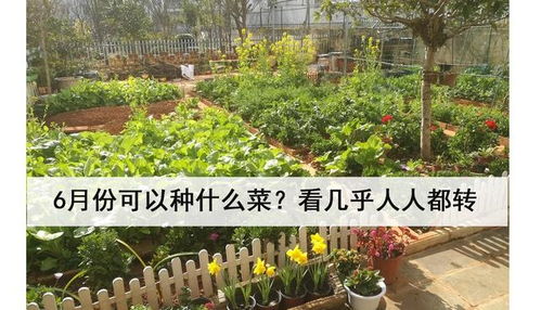 血泪经验：种草就像存钱，选对品种是关键！