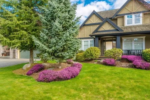 别墅庭院草坪：多种草种供你选择