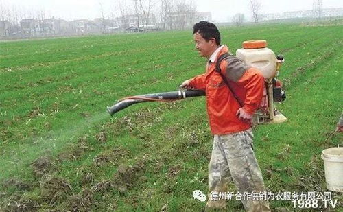 喷施时间与农药残留