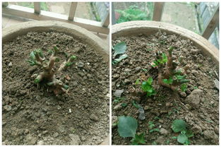 四、 温度要适宜，别冻着