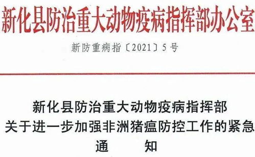 如何借鉴单栋发病未扩散的非瘟成功控场案例？