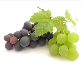 葡萄的土壤偏好， 听听老农怎么说