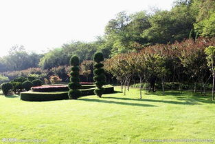 应用领域：大与小， 内与外