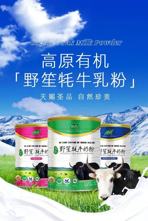 牦牛奶：来自高海拔地区的珍贵乳品