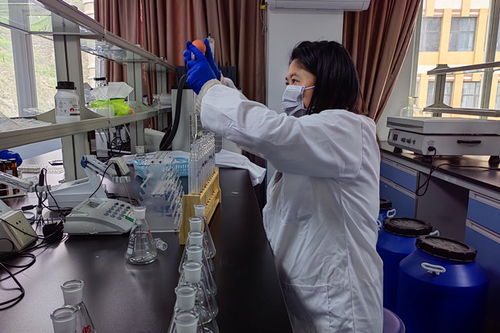 提升农产品平安检测准确性的路径探索