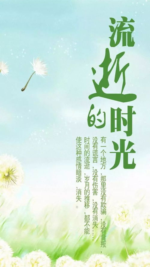 睡前如归根本：安神敛精助封藏