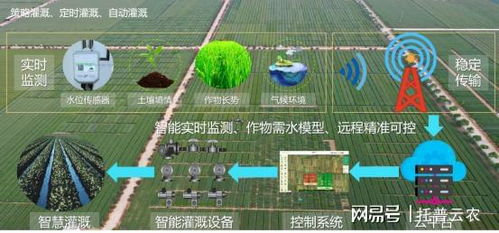 循环水系统在农业灌溉中的核心作用