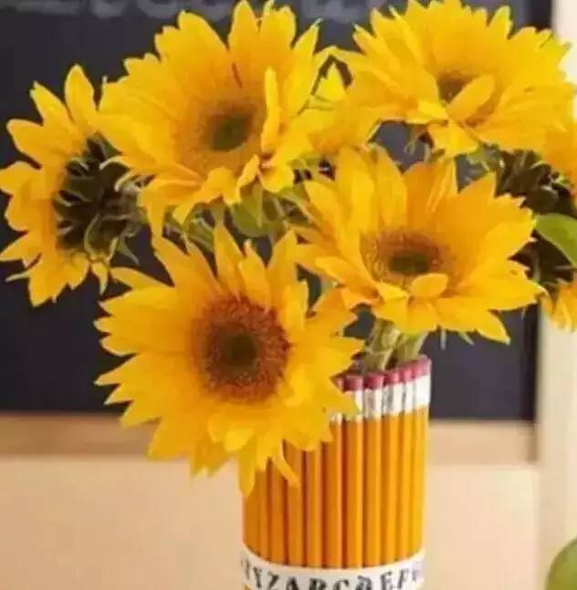 使用生长延缓剂