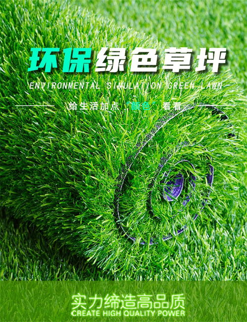 如何种植草皮？草皮种植全流程解析中