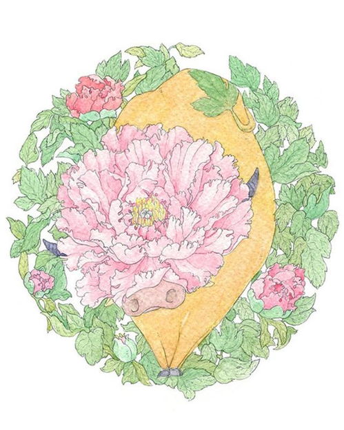 牡丹花被誉为我国国花，象征着富贵吉祥