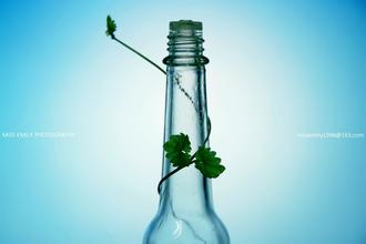 喷农药，健康风险大