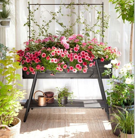 春节年宵花组合