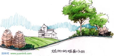 园林植物配置的艺术魅力